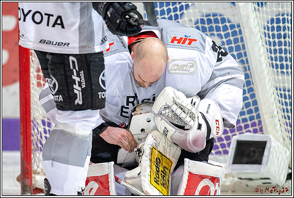 DEL; Iserlohn Roosters - Koelner Haie, 27.01.2019